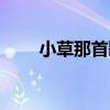 小草那首歌的歌词（小草歌词歌词）