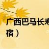 广西巴马长寿村住宿订购（广西巴马长寿村住宿）