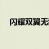 闪耀双翼无敌版（闪耀双星双人无敌版）