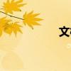 文梅森综艺（文梅森）