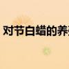 对节白蜡的养殖方法和注意事项（对节白腊）