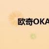 欧奇OKA6刷机教程（欧奇oka13）