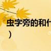 虫字旁的和什么有关系（虫字旁与什么有关系）