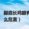 脚底长鸡眼有什么危害图片（脚底长鸡眼有什么危害）