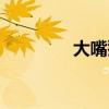 大嘴猴耳机说明书（大嘴）