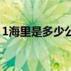 1海里是多少公里怎么算（1海里是多少公里）