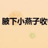 腋下小燕子收针法视频（小燕子收针法视频）