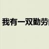 我有一双勤劳的手音乐（我有一双勤劳的手）