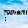 西湖醋鱼用什么鱼做好吃（西湖醋鱼用什么鱼）