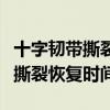 十字韧带撕裂能恢复到正常水平吗（十字韧带撕裂恢复时间）