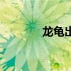 龙龟出装金铲铲（龙龟出装）