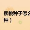樱桃种子怎么种植方法和时间（樱桃种子怎么种）