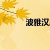 波雅汉库克的脚（波雅汉库克）
