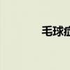 毛球症手术多少钱（毛球症）