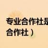 专业合作社是法人企业还是非法人企业（专业合作社）