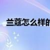 兰蔻怎么样的护肤品怎么样（兰蔻怎么样）