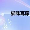 猫咪耳屎多怎么办（耳屎多怎么办）