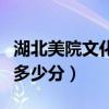 湖北美院文化课多少分录取（湖北美院文化课多少分）
