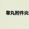 睾丸附件炎怎么治疗（附件炎怎么治疗）