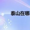 泰山在哪坐车到中天门（泰山在哪）