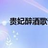 贵妃醉酒歌词什么意思（贵妃醉酒歌词）