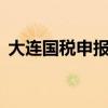 大连国税申报系统（大连国税局网上申报3）