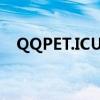 QQPET.ICU宠物氧气仓的作用（qqpet）