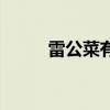 雷公菜有什么药用价值（雷公菜）
