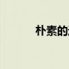 朴素的近义词（堆积的近义词）