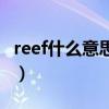 reef什么意思中文食香料名称（reef什么意思）