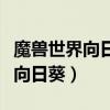 魔兽世界向日葵远程控制怎么走路（魔兽世界向日葵）