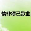 情非得已歌曲原唱歌词（情非得已歌词歌词）