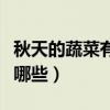 秋天的蔬菜有哪些图片简笔画（秋天的蔬菜有哪些）