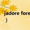 jadore forever什么意思（forever什么意思）