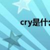 cry是什么意思（crm是什么意思）