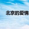 北京的爱情故事沈冰（北京的爱情故事）