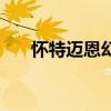 怀特迈恩幻化调料包（怀特迈恩幻化）