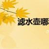 滤水壶哪种好（滤水壶哪个牌子好）