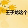 王子龙这个名字的含义是什么（王子龙）