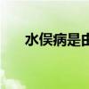 水俣病是由什么元素引起的（水俣病）