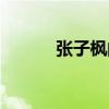 张子枫的爸妈（张子枫的爸爸）