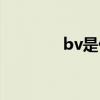 bv是什么牌子（bv是什么）