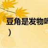 豆角是发物吗?肿瘤人能吃吗?（豆角是发物吗）