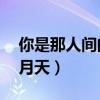 你是那人间的四月天 小说（你是那人间的四月天）