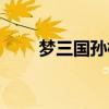 梦三国孙桓技能（梦三国孙坚出装）