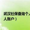 武汉社保查询个人账户缴费明细查询余额（武汉社保查询个人账户）