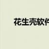 花生壳软件多少钱一年（花生壳软件）