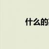 什么的英语意思（什么的英语）