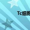 Tc细胞是什么细胞（TC细胞）
