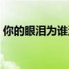 你的眼泪为谁流是什么歌（你的眼泪为谁飞）